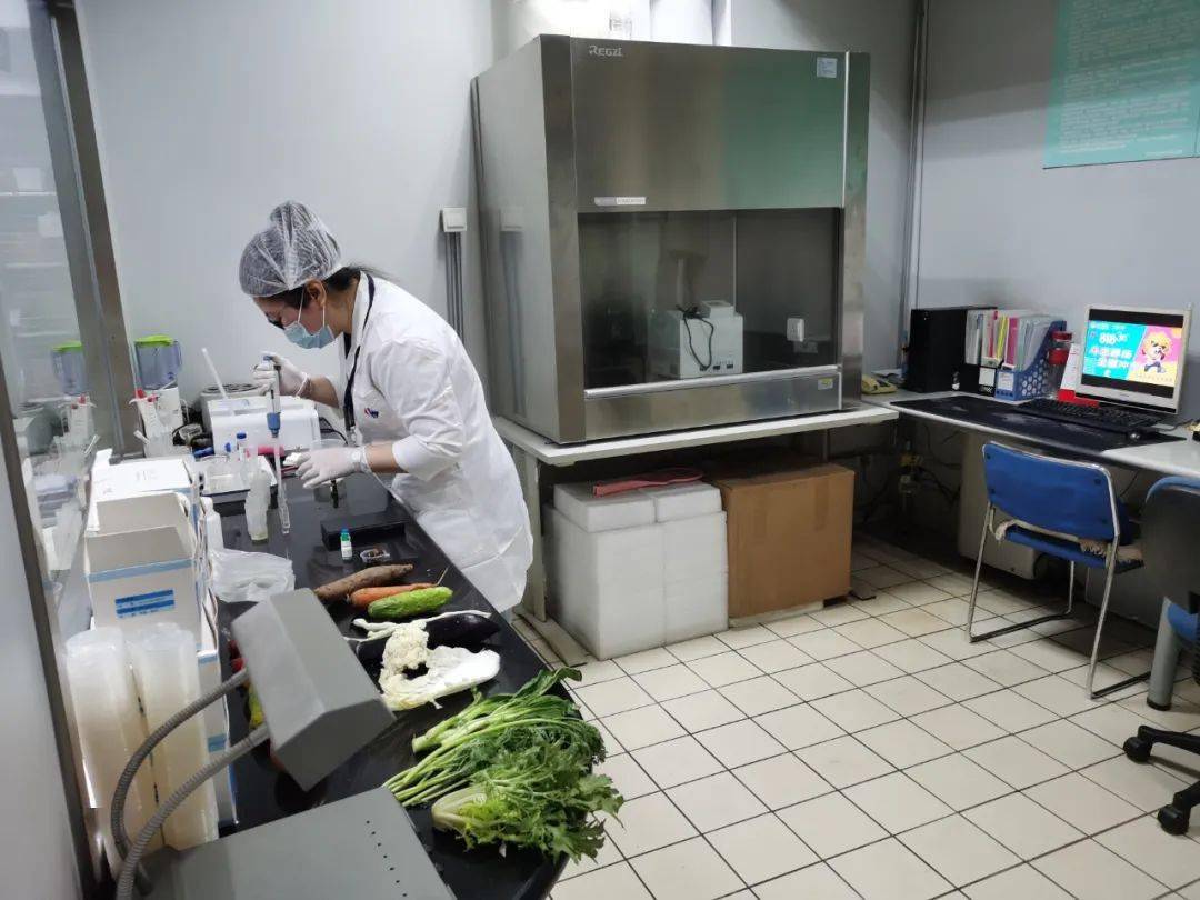 精河食品检测实验室装修方案